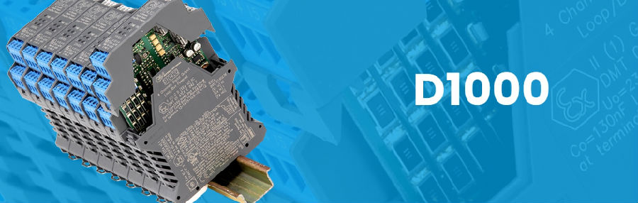 D1000.jpg